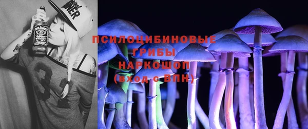 стафф Абаза